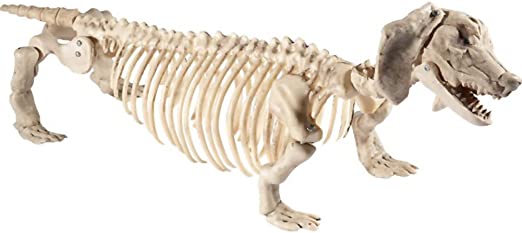 Smiffys Dachshund Dog Skeleton Prop
