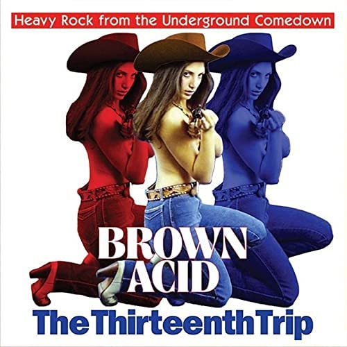 Brown Acid: The Thirteenth Trip [Audio CD]