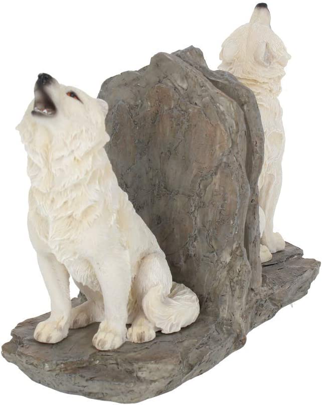 Nemesis Now Wardens of the North Bookends 20.3cm White, Resin