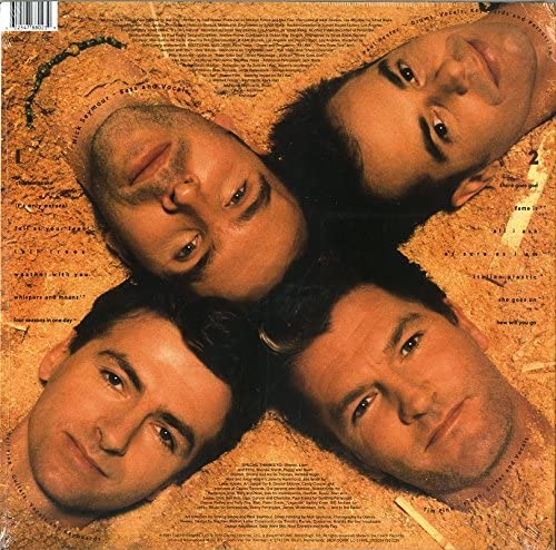 Woodface – Crowded House [VINYL]