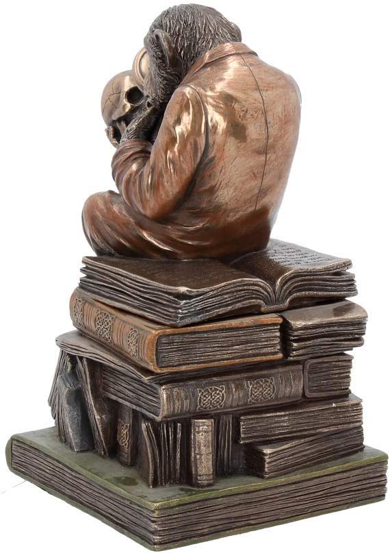 Nemesis Now Darwinism of Evolutionary Theory Box 17.5cm Bronze, Resin