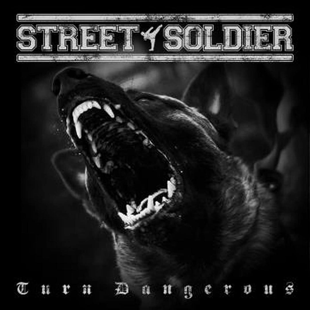 Street Soldier - Turn Dangerous [Audio CD]