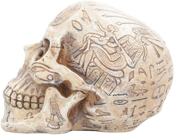 Nemesis Now D1979F6 Hieroglyphic Skull Figurine 16cm Ivory