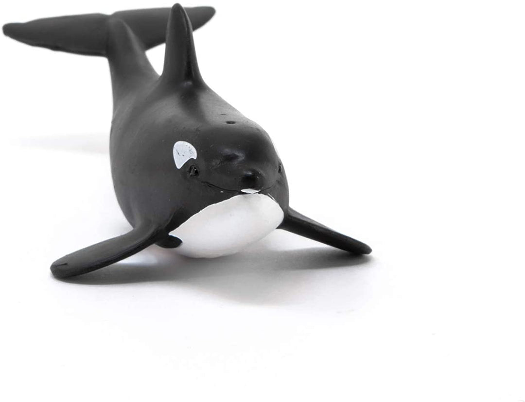 Schleich 14836 Baby Orca Wild Life