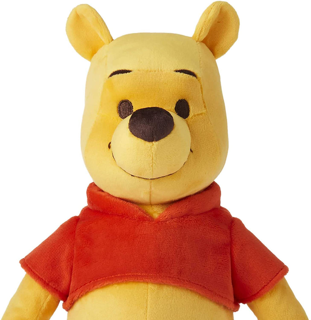 Disney Winnie the Pooh Your Friend Pooh Feature Plüsch, HGR58