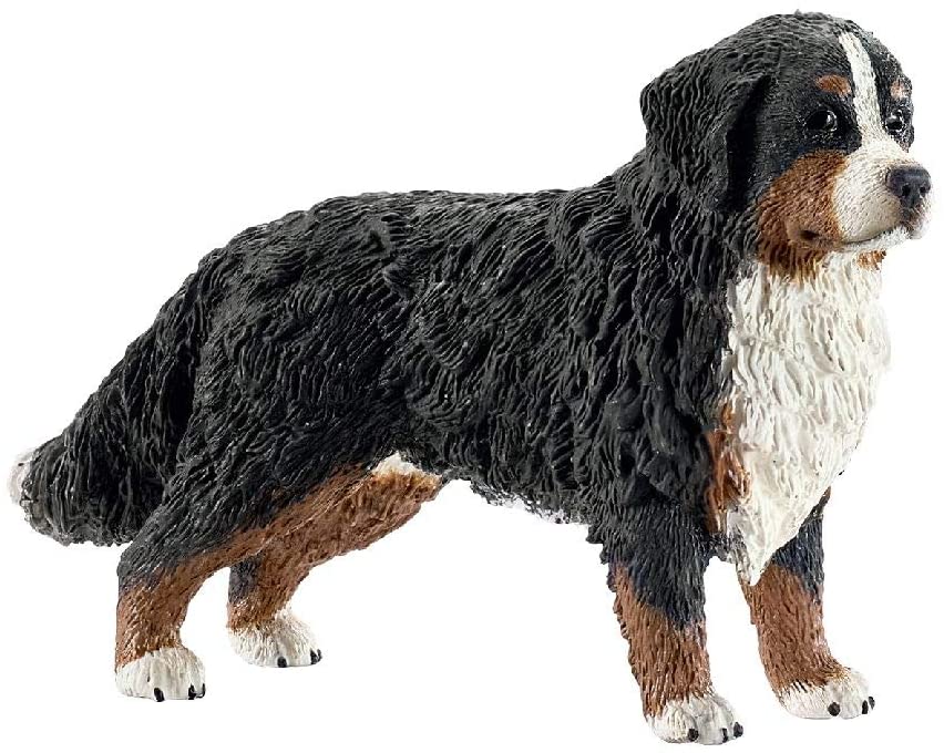 Schleich Farm World - 16397 Bernese Mountain Dog, Female