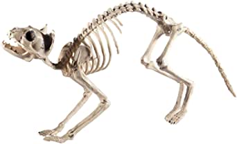 Smiffys Cat Skeleton Prop