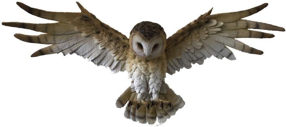 Nemesis Now Wisdom Flight Owl Wall Plaque 54.5 Centimeter Brown