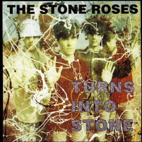 Turns Into Stone [Audio CD]