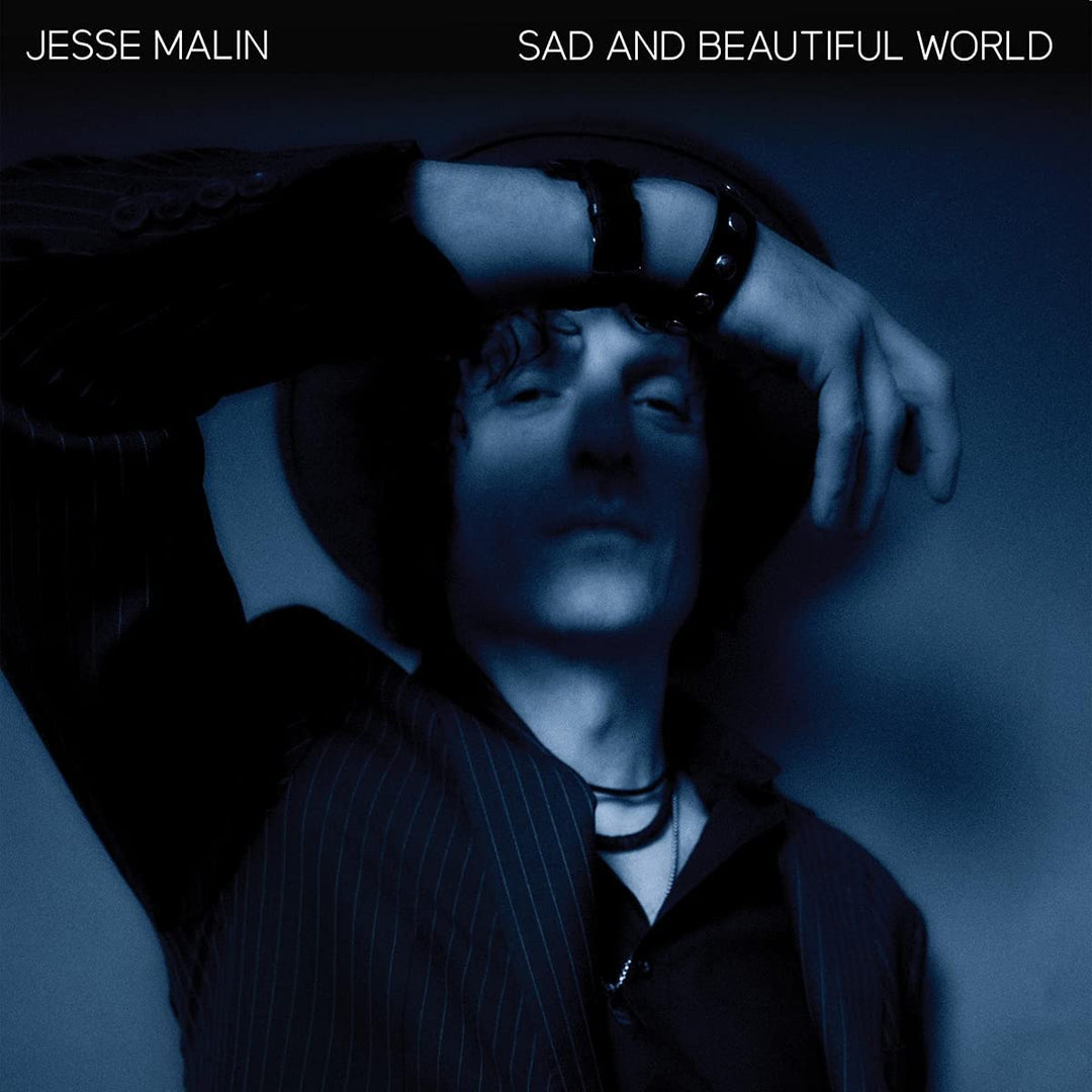 Jesse Malin - Sad And Beautiful World [Audio CD]