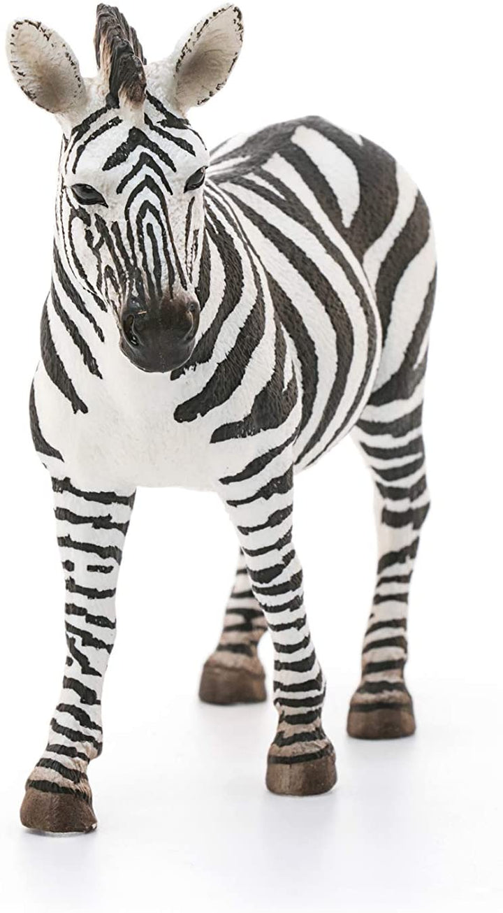 Schleich 14810 Zebra, Female