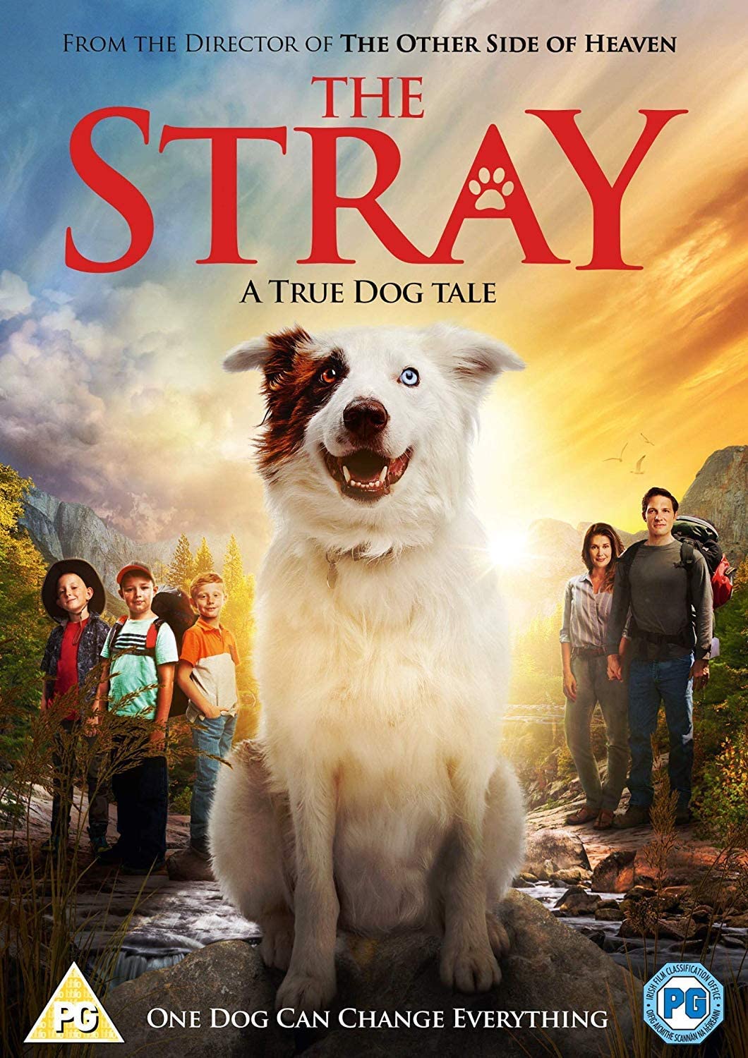 The Stray - Drama [DVD]