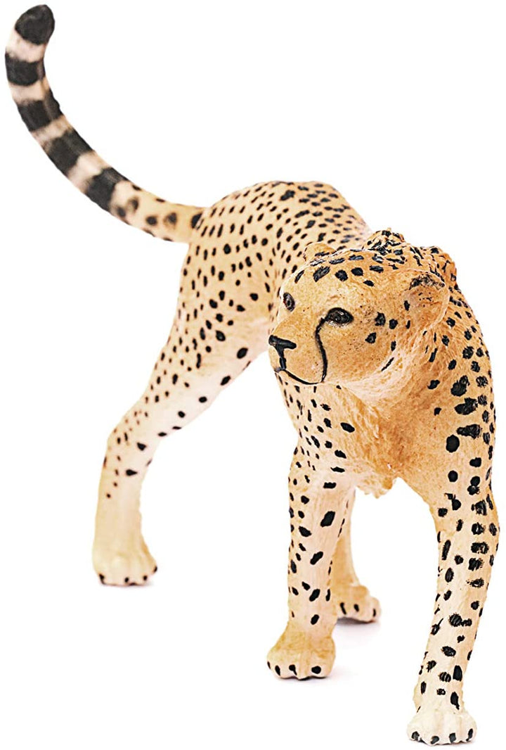 Schleich 14746 Cheetah, Female