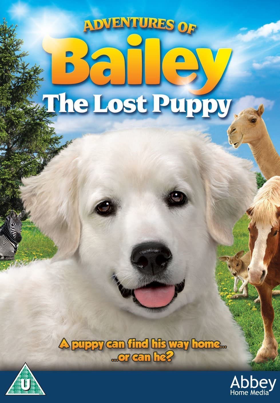 Adventures Of Bailey: The Lost Puppy
