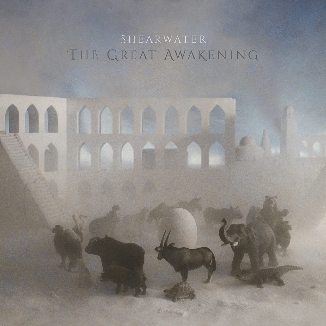 The Great Awakening [Audio CD]