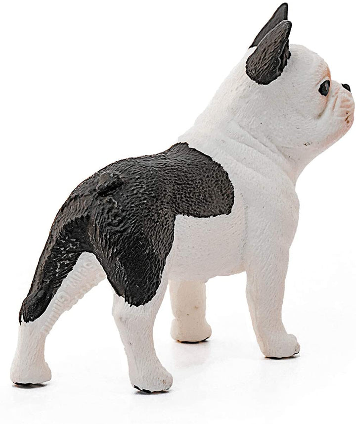 Schleich 13877 French Bulldog