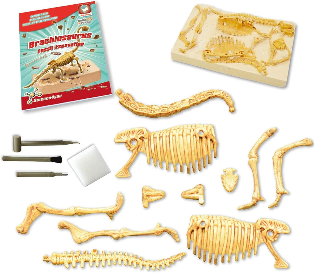 Science4you - Brachiosaurus Fossil Digging Kit for Kids +6 - Excavate and Assemble 11 Brachiosaurus Fossiles