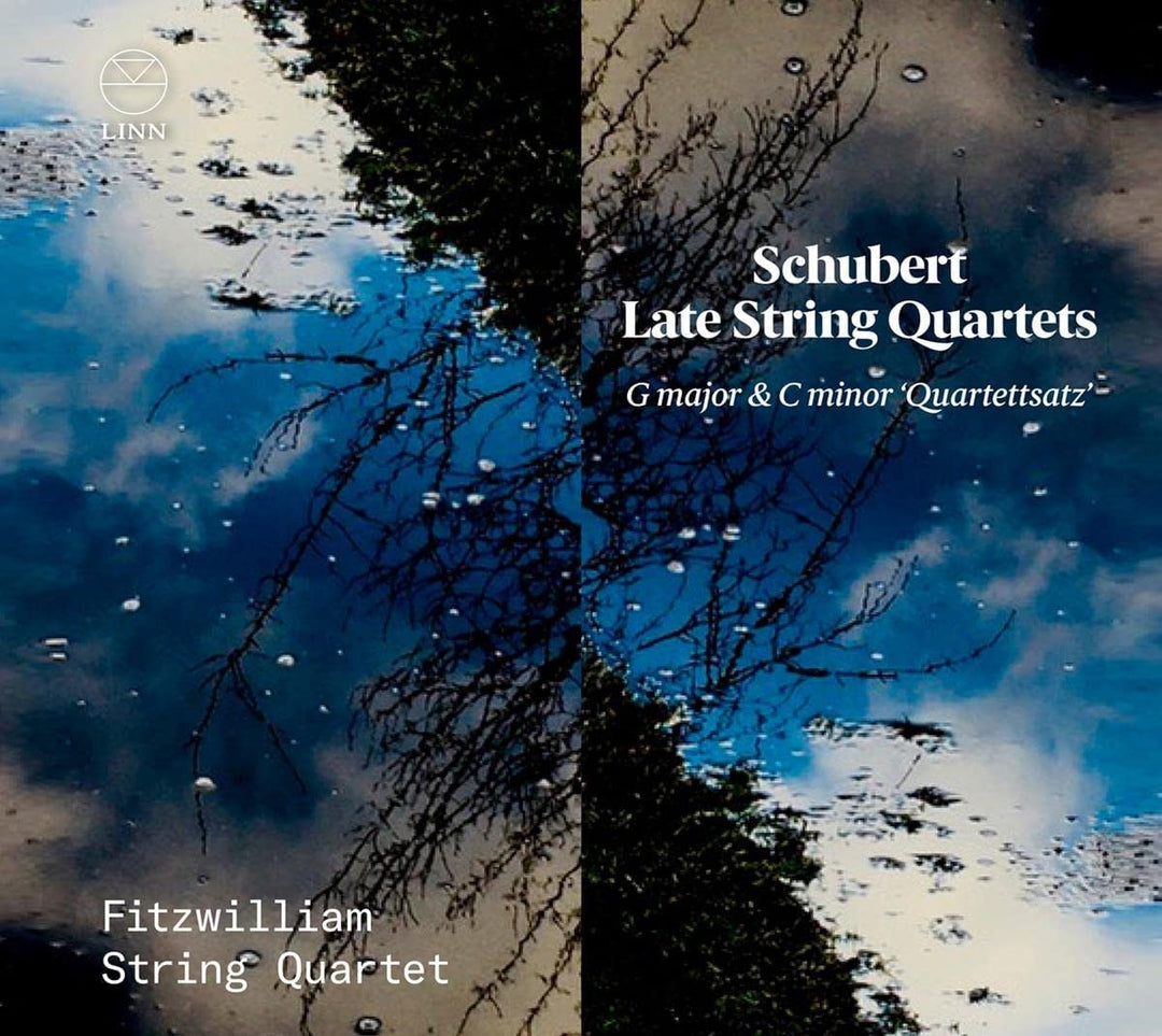 Fitzwilliam String Quartet - Schubert: Late String Quartets. G Major & C Minor 'Quartettsatz' [Audio CD]