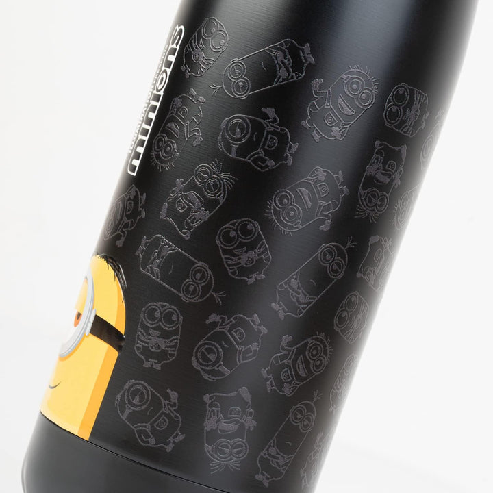 Erik Official Minions Metal Hot&Cold Bottle 500ml / 17 oz - Minions Gifts - Hot And Cold Water Bottle