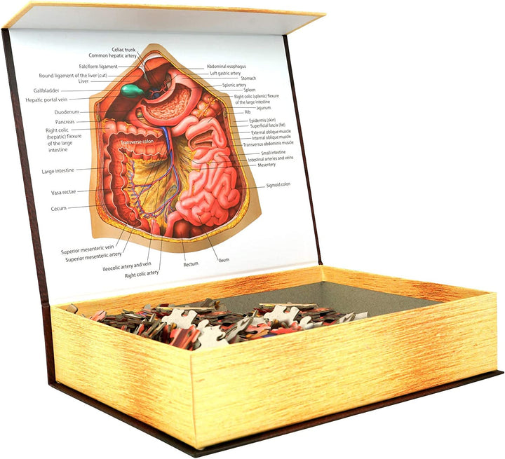 Dr. Livingston's Human Anatomy 500 Piece Jigsaw Puzzle - Educational Learning To
