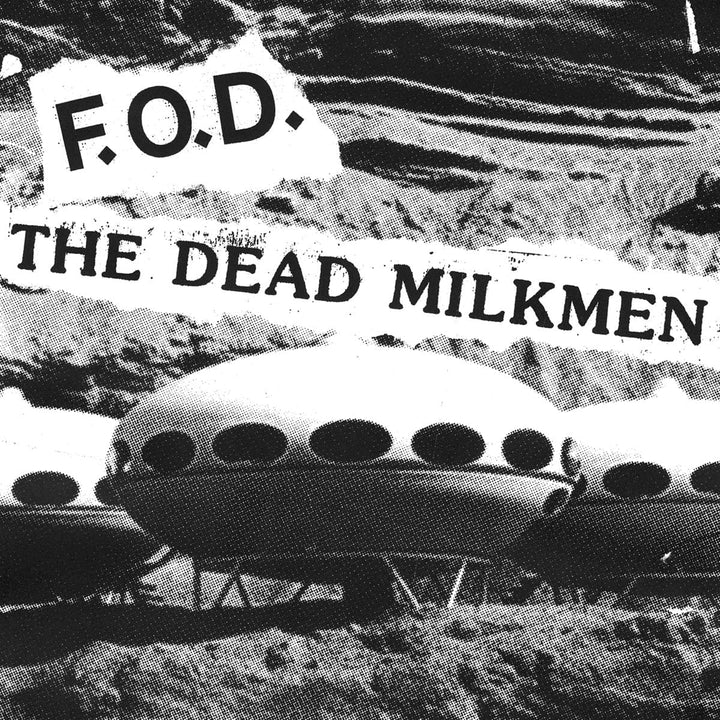 Flag of Democracy &amp; Dead Milkm – Split VINYL]