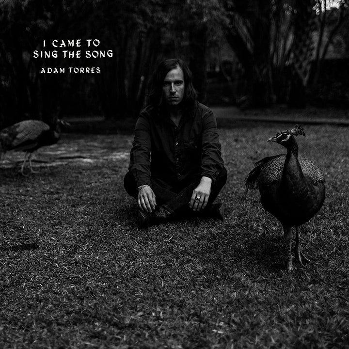 Adam Torres – I Came To Sing the Song [Audio-CD]