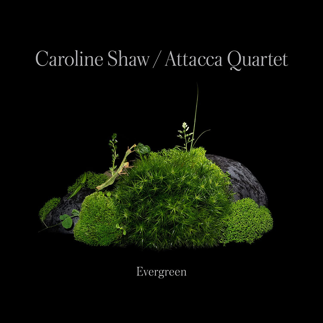 Caroline Shaw: Evergreen [Audio CD]