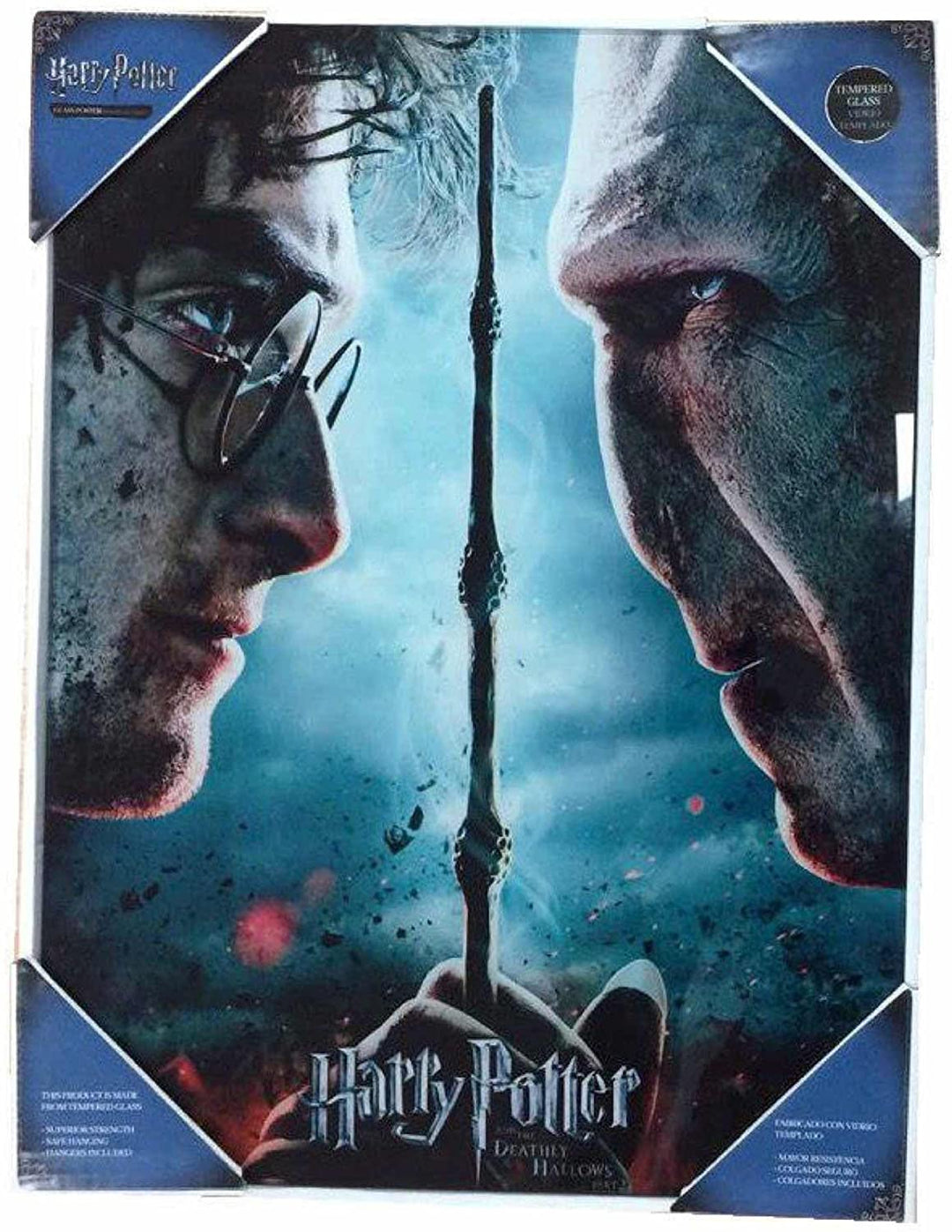 SD Toys Harry Potter and Voldemort Poster, Multicoloured, 41x31x3 cm