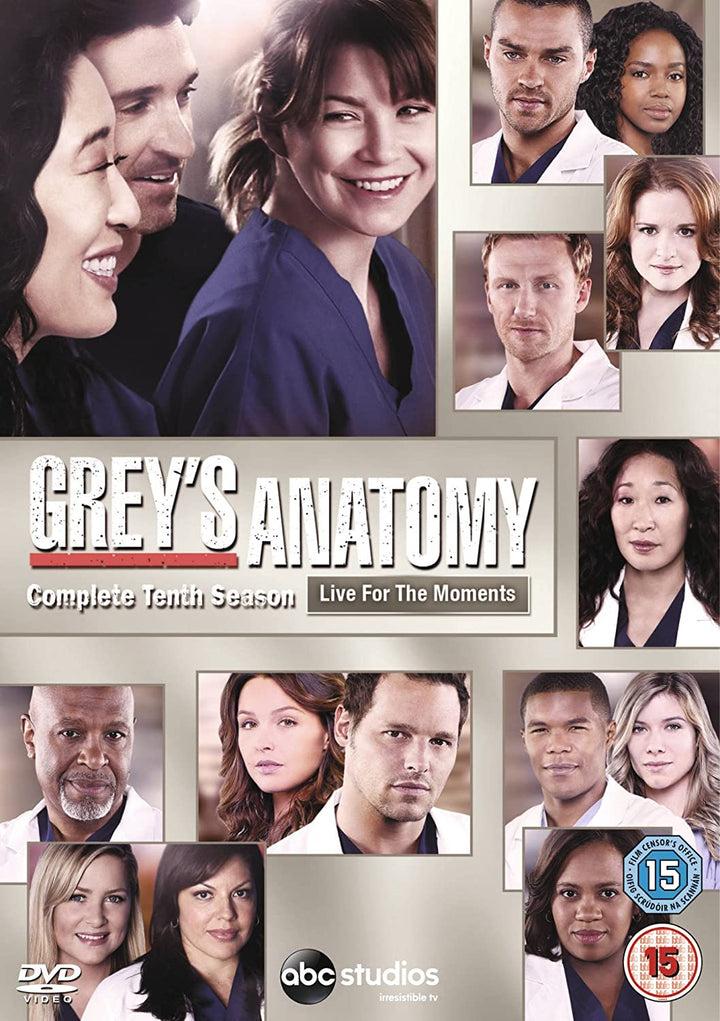 Grey's Anatomy - Season 10 - Drama [DVD]