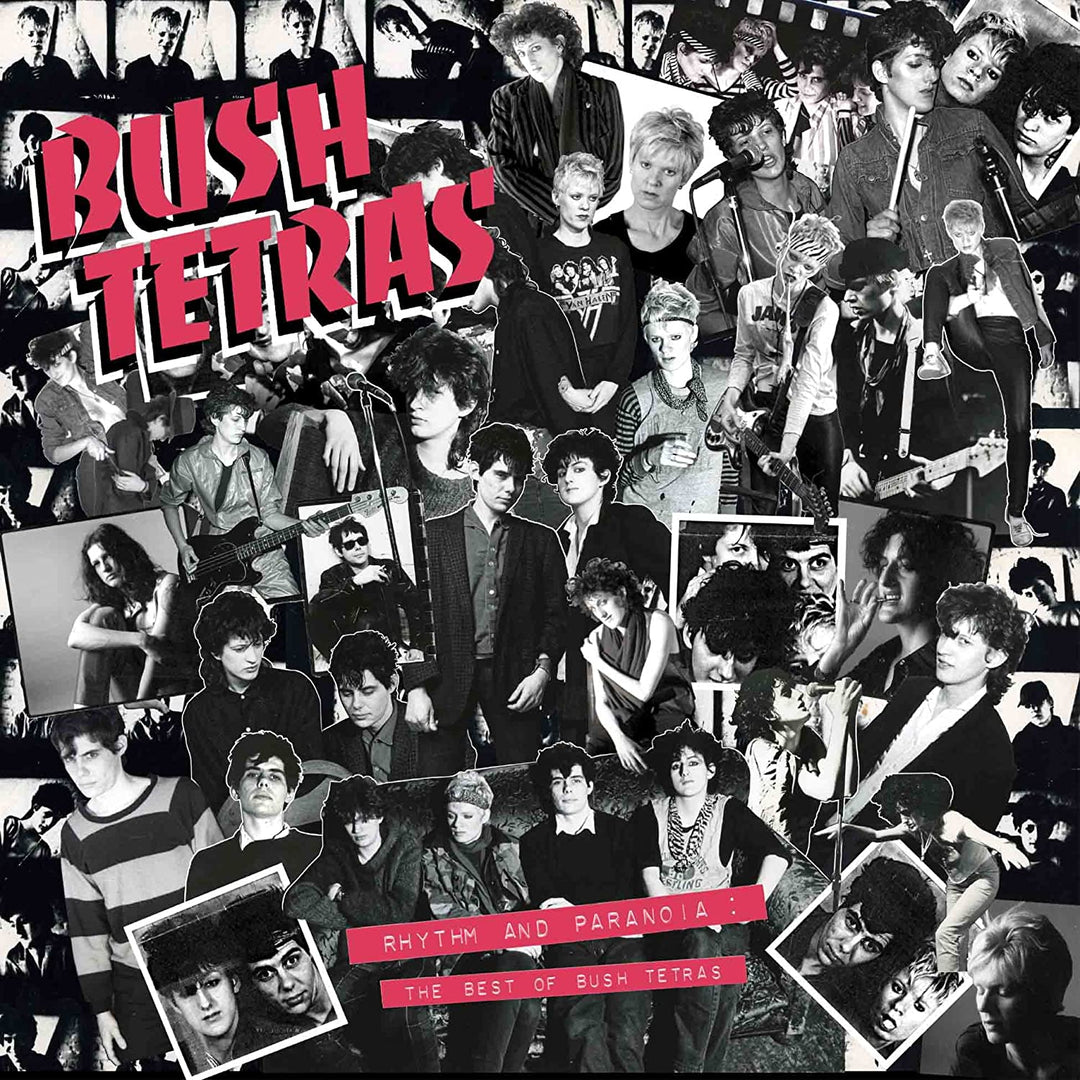 Bush Tetras - Rhythm and Paranoia: The Best of Bush Tetras [Audio CD]
