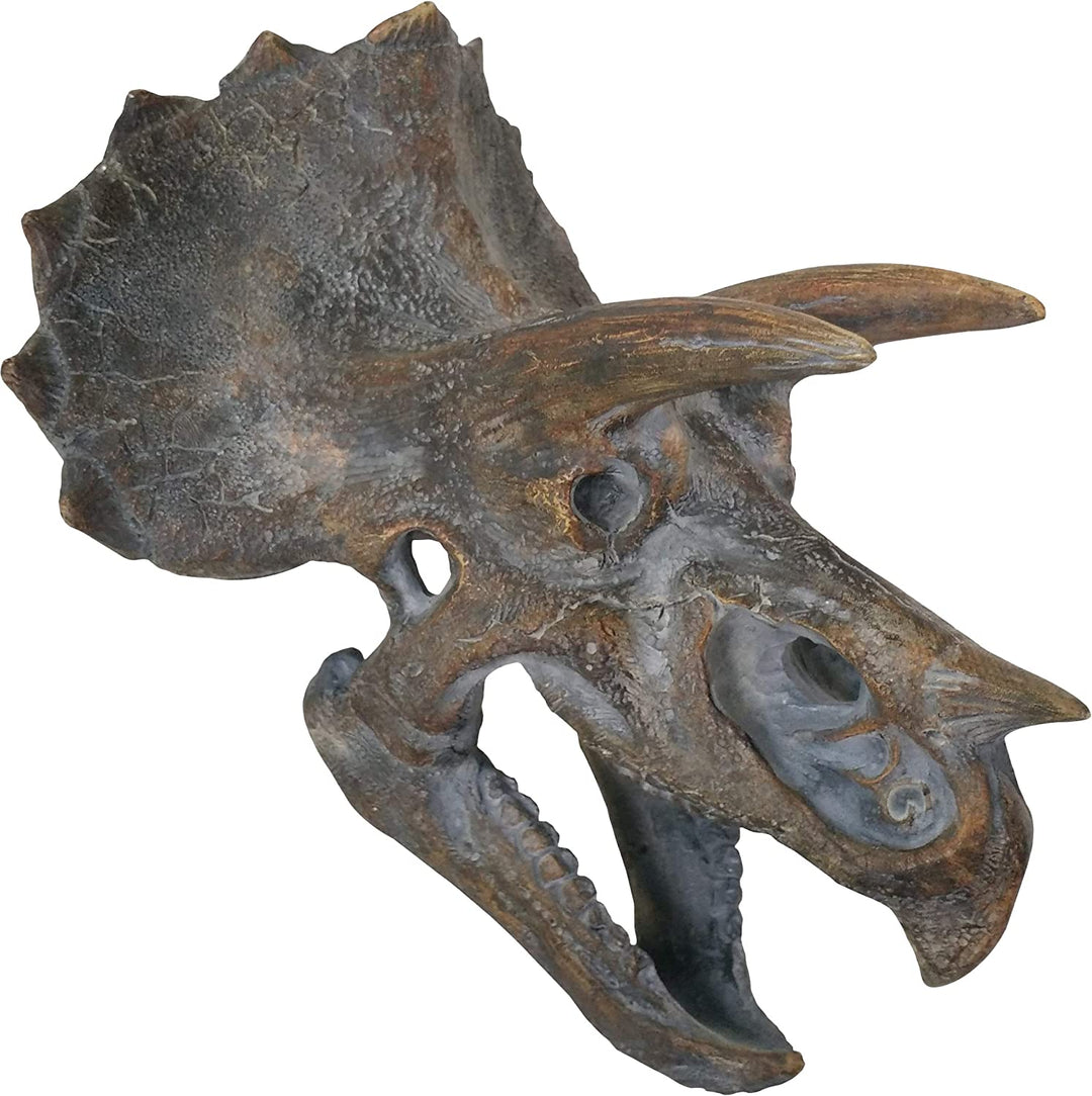 Nemesis Now Triceratops Head 23cm Wall Plaque, Brown