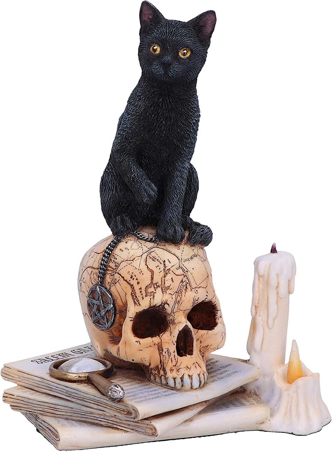 Nemesis Now Officially Licensed Lisa Parker Spirits of Salem Figurine, Black, 16