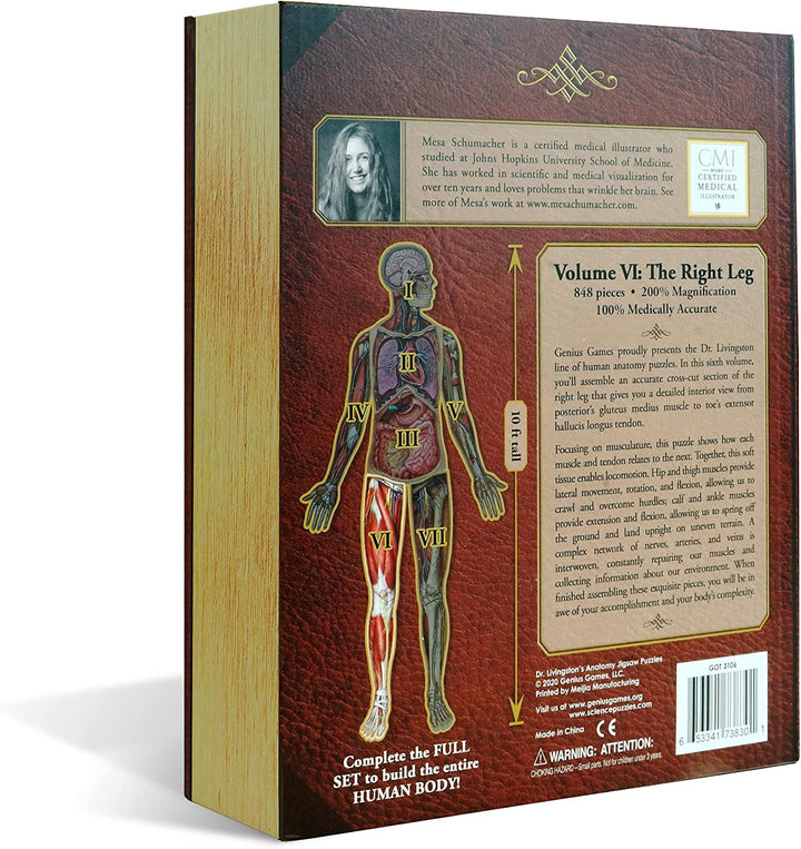 Dr Livingston's Anatomy Jigsaw Puzzle: Volume IV - The Human Right Leg