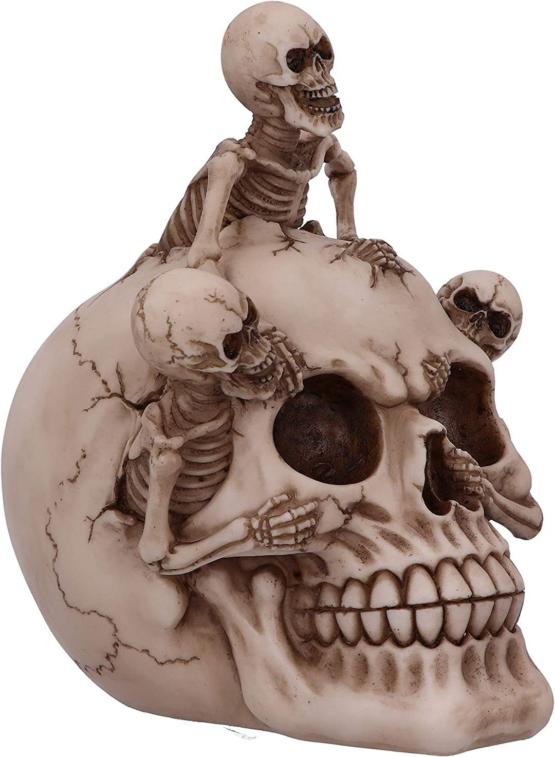 Nemesis Now Breaking Free Skeleton Emerging from Skull Ornament 17.7cm, Natural