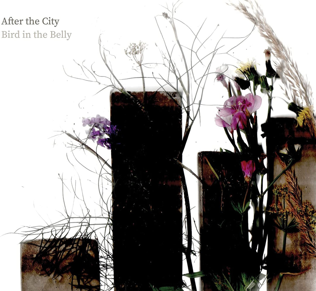 Bird In The Belly - After The City [Audio CD]