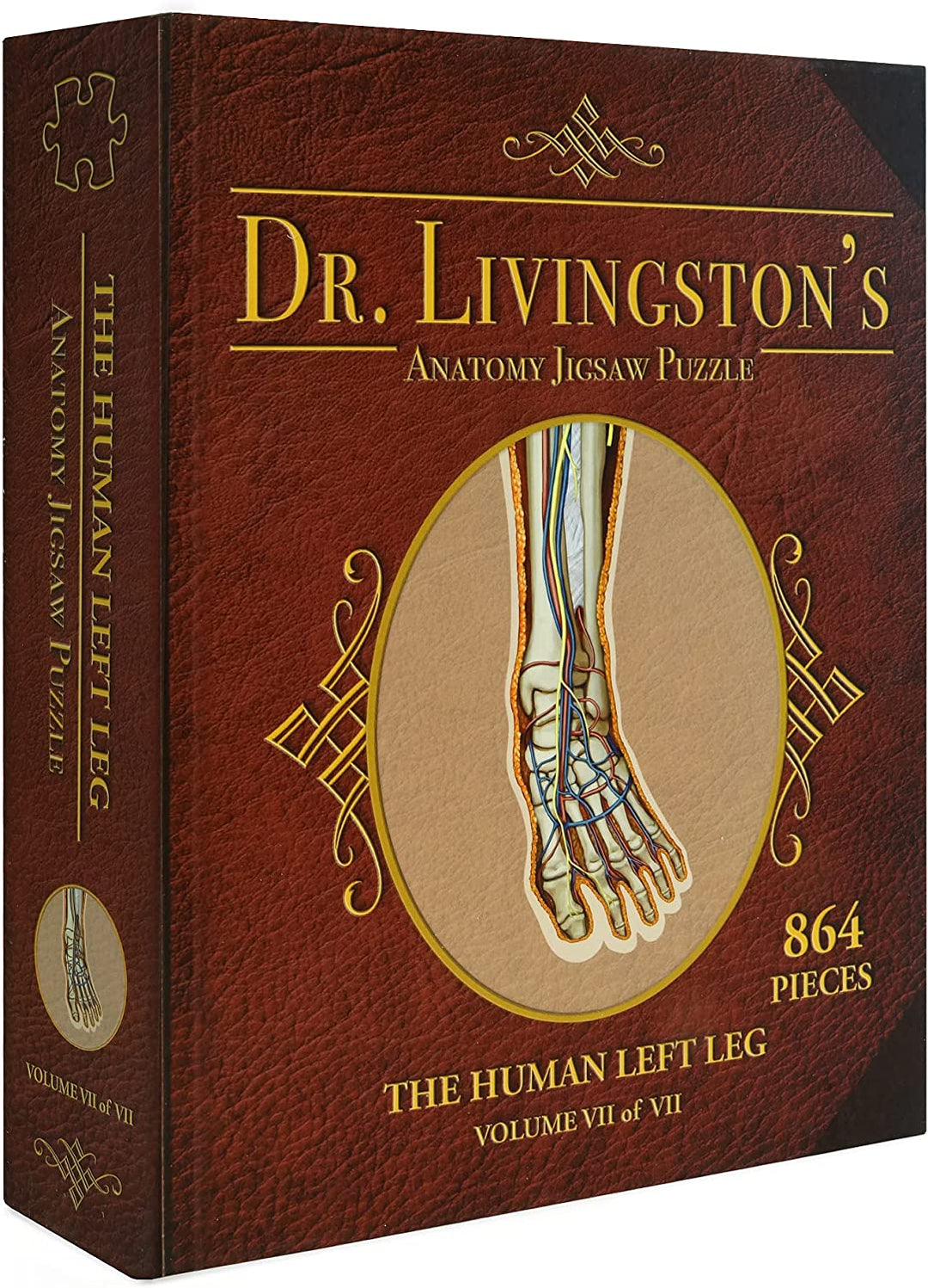 Dr Livingston's Anatomy Jigsaw Buzzle: Volume IV - The Human Left Leg