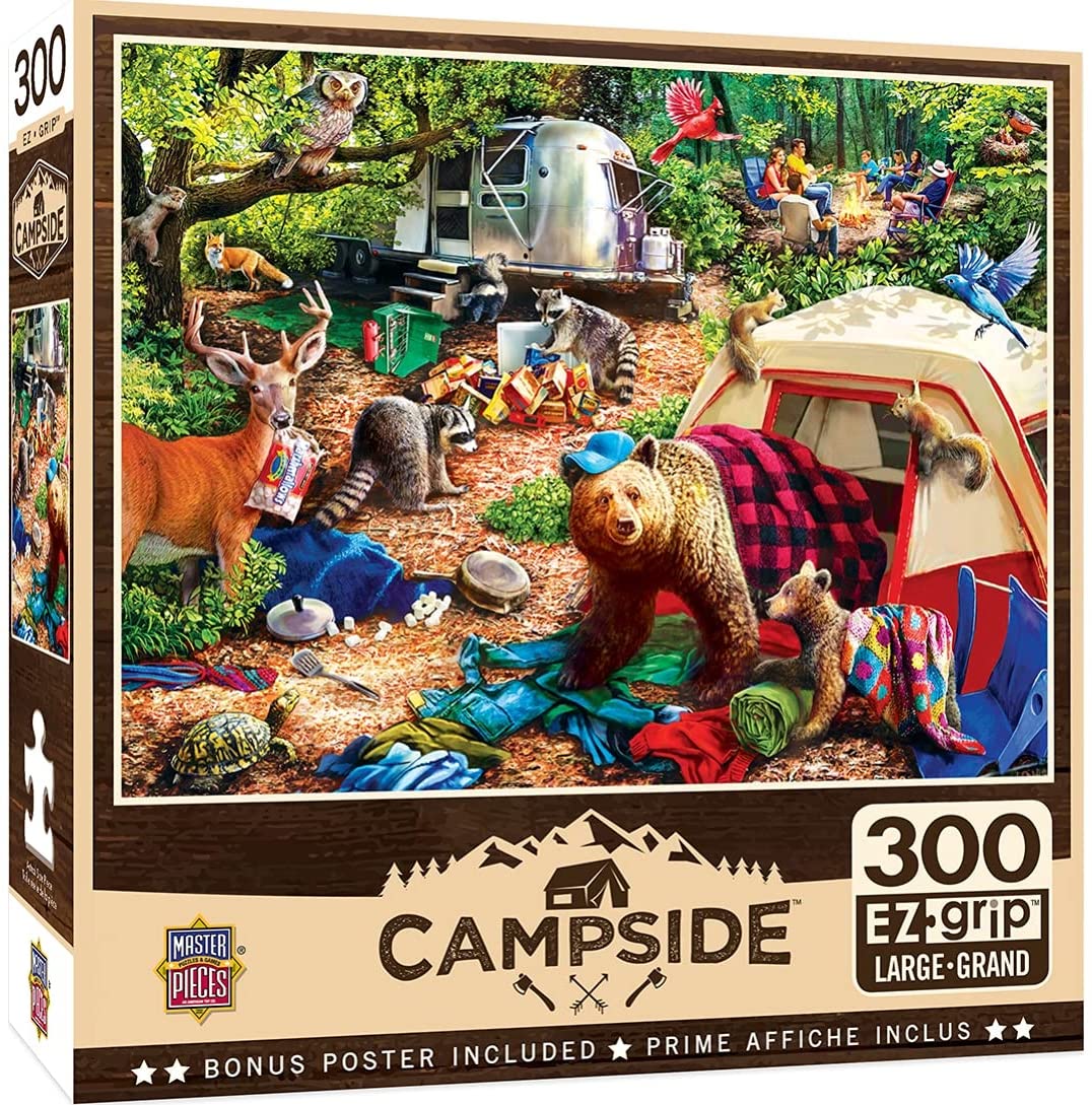 300 Piece Jigsaw Puzzle for Adult, Family, Or Kids - Trip to The Coast by Master