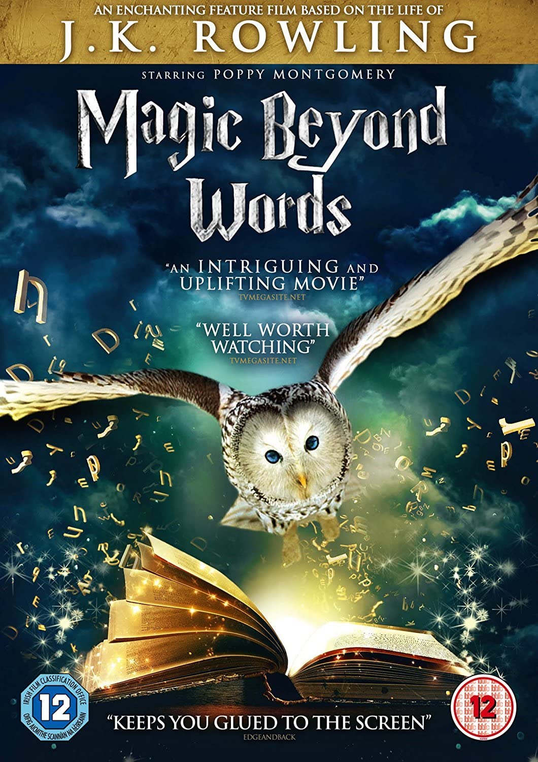 Magic Beyond Words [DVD]