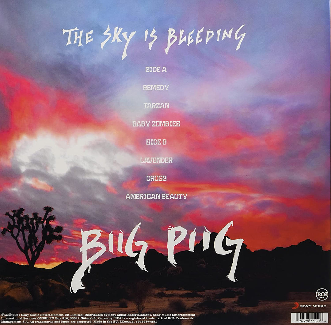 The Sky Is Bleeding [Vinyl]