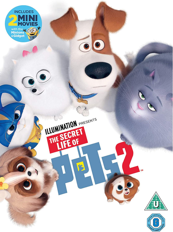 The Secret Life of Pets 2 - Family/Comedy [DVD]