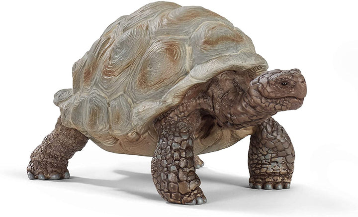 Schleich 14824 Giant Tortoise Wild Life