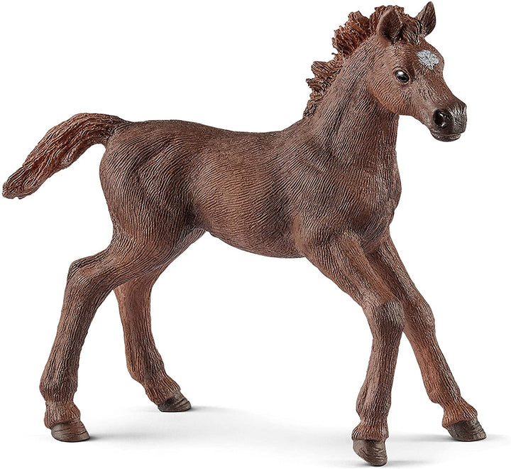 Schleich 13857 English Thoroughbred Foal