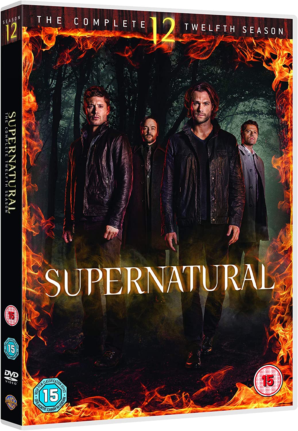 Supernatural: The Complete Twelfth Season - Mystery [DVD]