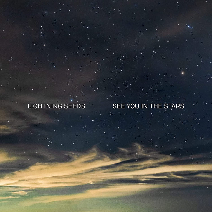 See You in the Stars [VINYL]