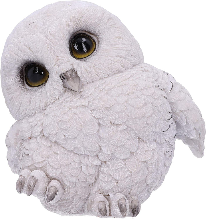 Nemesis Now Feathers Cute Rotund Snowly Owl Figurine, White, 12.5cm (U5473T1)