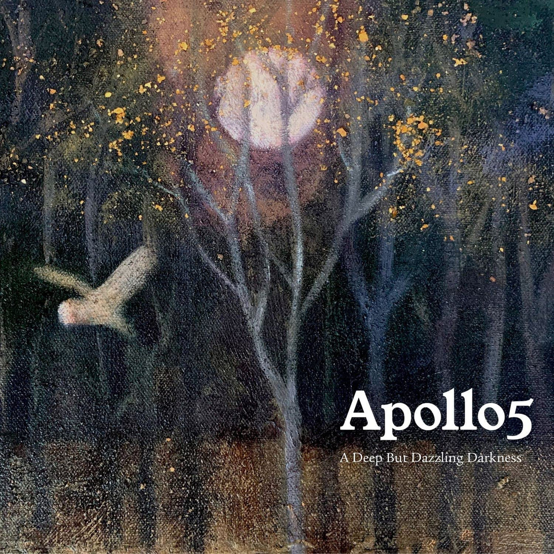 APOLLO5 - A DEEP BUT DAZZLING DARKNESS [Audio CD]