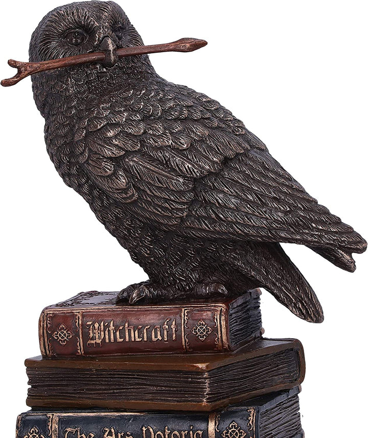Bronze Spellcraft Witches Familiar Owl on Book Figurine