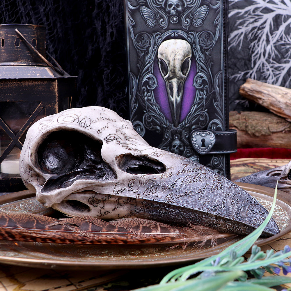 Nemesis Now Edgar's Raven Skull Figurine 25cm Ivory