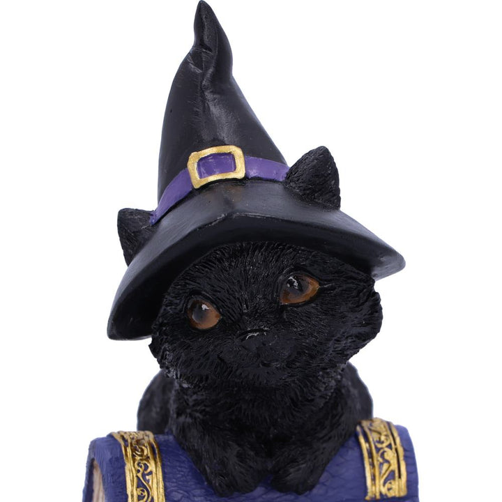 Nemesis Now Pocus Small Witches Familiar Black Cat and Spellbook Figurine 12.7cm