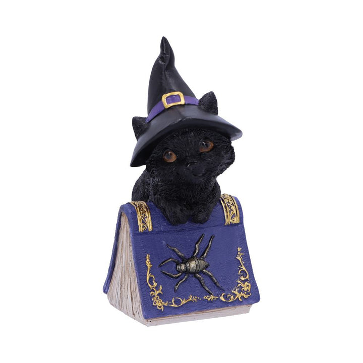 Nemesis Now Pocus Small Witches Familiar Black Cat and Spellbook Figurine 12.7cm